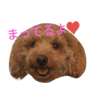 日常で使えそうなモカりん（個別スタンプ：5）