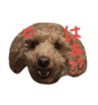 日常で使えそうなモカりん（個別スタンプ：6）