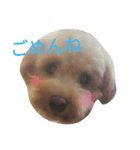 日常で使えそうなモカりん（個別スタンプ：8）