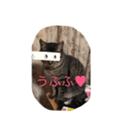 佐吉スタンプ1（個別スタンプ：7）