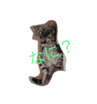 カワイイねこ（個別スタンプ：7）