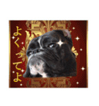 Riesen Stern Boxer 3(ボクサー犬スタンプ)（個別スタンプ：1）