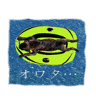 Riesen Stern Boxer 3(ボクサー犬スタンプ)（個別スタンプ：6）