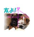 Riesen Stern Boxer 3(ボクサー犬スタンプ)（個別スタンプ：18）