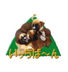 Riesen Stern Boxer 3(ボクサー犬スタンプ)（個別スタンプ：20）