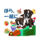 Riesen Stern Boxer 3(ボクサー犬スタンプ)（個別スタンプ：21）