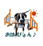 Riesen Stern Boxer 3(ボクサー犬スタンプ)（個別スタンプ：23）