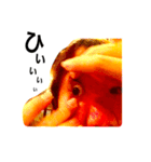 ゅまだよ〜。（個別スタンプ：15）