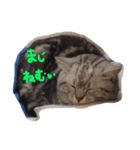 るなのすたんぷ（個別スタンプ：3）