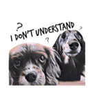 犬スター英語verー（個別スタンプ：9）