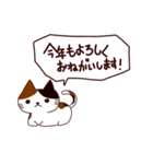 お祝い猫 日本語（個別スタンプ：3）