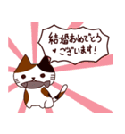 お祝い猫 日本語（個別スタンプ：7）