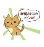 お祝い猫 日本語（個別スタンプ：14）