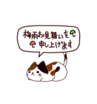 お祝い猫 日本語（個別スタンプ：28）