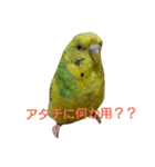プー・むーん（個別スタンプ：7）