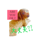 まぬけな犬。（個別スタンプ：4）