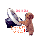 まぬけな犬。（個別スタンプ：7）