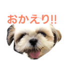 めめさま（個別スタンプ：1）