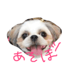 めめさま（個別スタンプ：3）