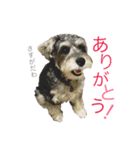 小町スタンプ（個別スタンプ：3）