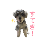 小町スタンプ（個別スタンプ：9）