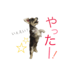小町スタンプ（個別スタンプ：11）