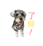 小町スタンプ（個別スタンプ：16）