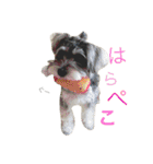 小町スタンプ（個別スタンプ：25）