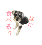 小町スタンプ（個別スタンプ：26）