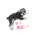 小町スタンプ（個別スタンプ：28）