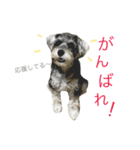 小町スタンプ（個別スタンプ：29）