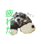 小町スタンプ（個別スタンプ：32）