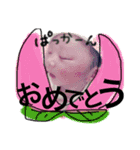 あっくん百面相！02（個別スタンプ：3）