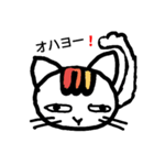 表情がとぼしいネコ（個別スタンプ：1）