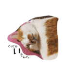 ふく＆まめ 日和（個別スタンプ：4）