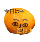 今日のご飯なに？（個別スタンプ：15）