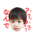 にちじょうスタンプ01（個別スタンプ：15）
