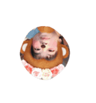 さこいりほちゃん（個別スタンプ：4）