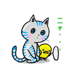 ほっこり癒し猫 3（個別スタンプ：19）