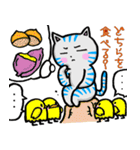 ほっこり癒し猫 3（個別スタンプ：40）