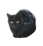 つぶ（個別スタンプ：6）