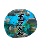 地元弁！（個別スタンプ：2）