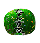 地元弁！（個別スタンプ：6）