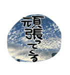地元弁！（個別スタンプ：12）