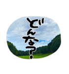 地元弁！（個別スタンプ：23）