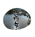 地元弁！（個別スタンプ：24）