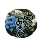 地元弁！（個別スタンプ：27）