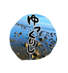 地元弁！（個別スタンプ：31）