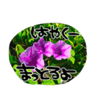 地元弁！（個別スタンプ：38）