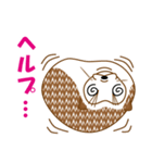 ハンサムハリネズミ（個別スタンプ：29）